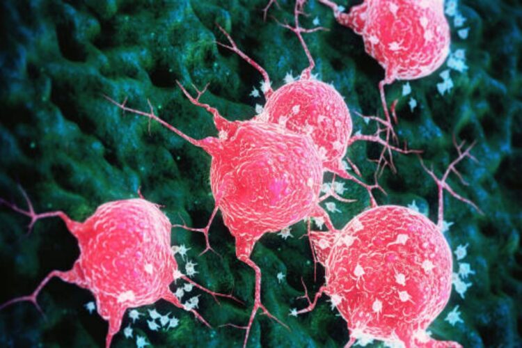 Allergia contro i tumori