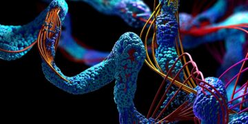 Catena di amminoacidi che compone le proteine