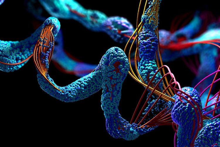 Catena di amminoacidi che compone le proteine