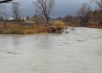 Fiumi nel Bolognese