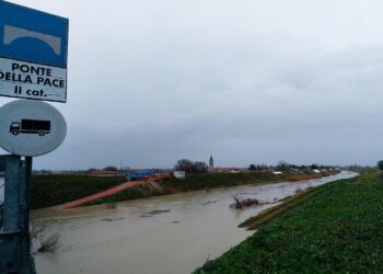 Il livello del fiume Lamone nel ravennate