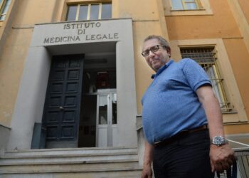 Il professor Francesco De Stefano