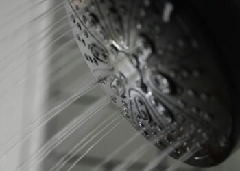 Il soffione della doccia