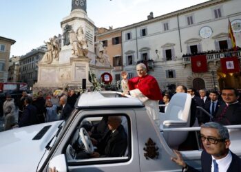 La protesta della Peta davanti al Papa