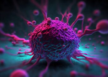 Tumori: trovato il modo per allentare il freno immunitario