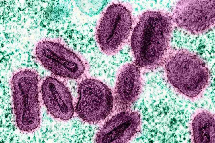 Mpox Virus