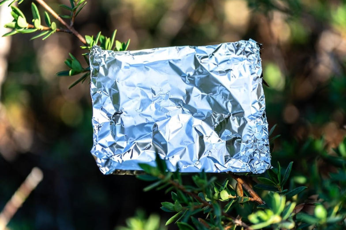 Carta stagnola in giardino: il segreto che non sapevi che allontana i parassiti