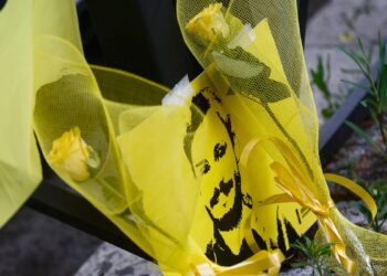 10 anni fa la scomparsa di Giulio Regeni