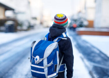 Bimbo lasciato a piedi da un autobus nel Bellunese