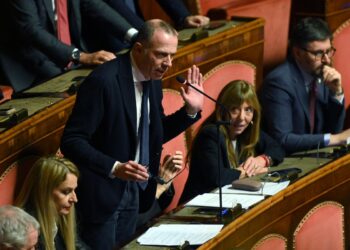 In foto il senatore della Lega Massimiliano Romeo