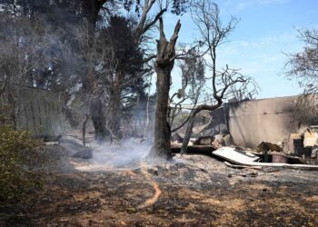 Gravi incendi in Australia