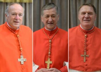 I tre cardinali degli Stati Uniti che criticano apertamente la politica estera di Donald Trump