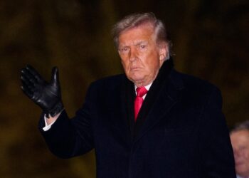 Il presidente degli Stati Uniti Donald Trump