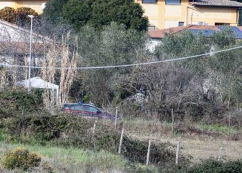 Il ritrovamento del corpo di Federica Torzullo