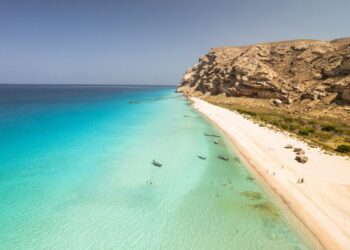 L'isola di Socotra