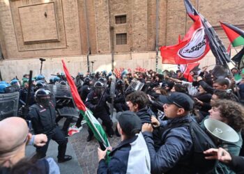 Un corteo pro pal a Torino