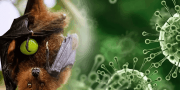 Nipah: A deadly and mysterious disease