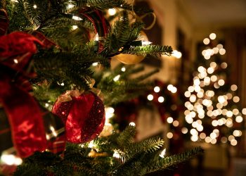 albero e luci di natale