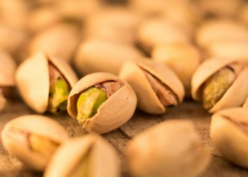 pistacchi