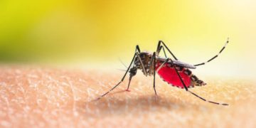 Bambina ricoverata per malaria