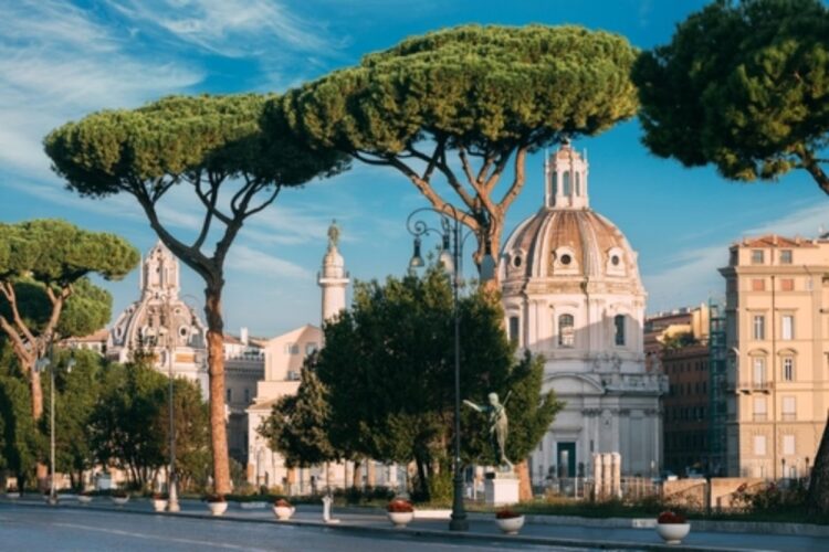 Crolla un albero ai Fori Imperiali