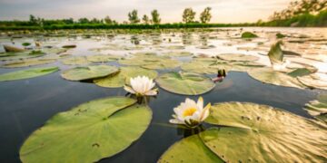 Giornata Mondiale delle zone umide