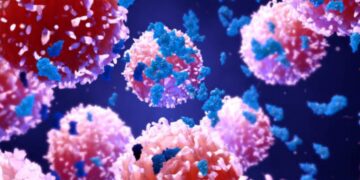 Importante scoperta nella lotta ai tumori