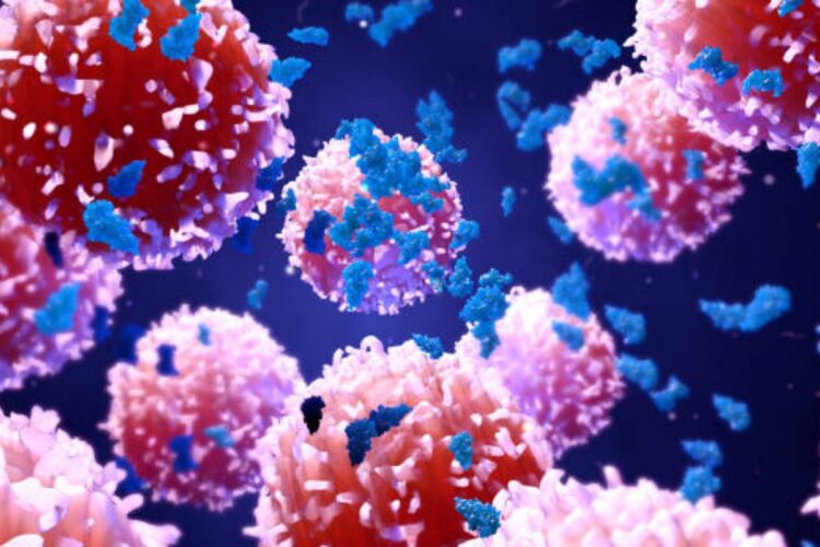 Importante scoperta nella lotta ai tumori