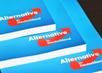 L'AfD non è un gruppo estremista
