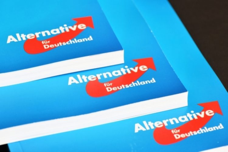 L'AfD non è un gruppo estremista