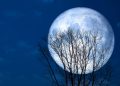 Luna Piena