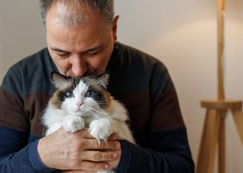 Nei gatti la chiave per capire i tumori