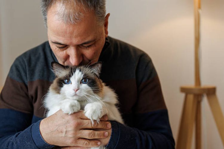 Nei gatti la chiave per capire i tumori