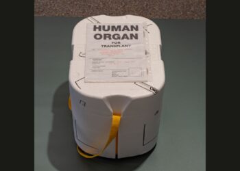 Un contenitore usato per il trasporto di un organo da trapiantare