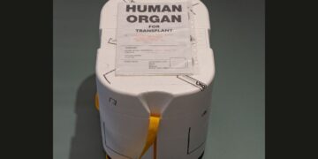 Un contenitore usato per il trasporto di un organo da trapiantare