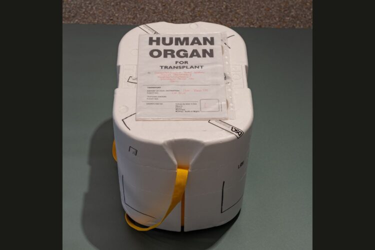 Un contenitore usato per il trasporto di un organo da trapiantare