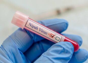 Vaccino per il virus Nipah
