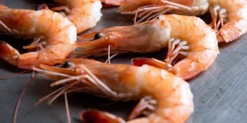 Gusci di gamberi