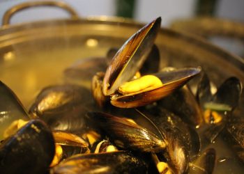 Delle cozze