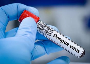 Due casi di dengue nel Livornese