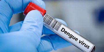 Due casi di dengue nel Livornese