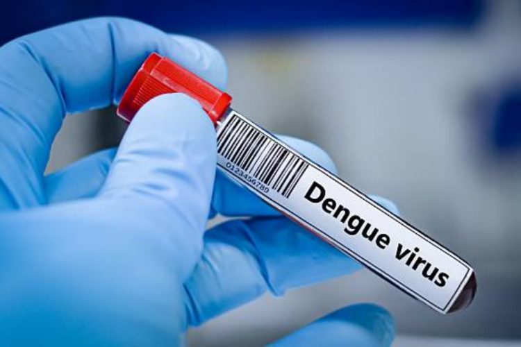 Due casi di dengue nel Livornese