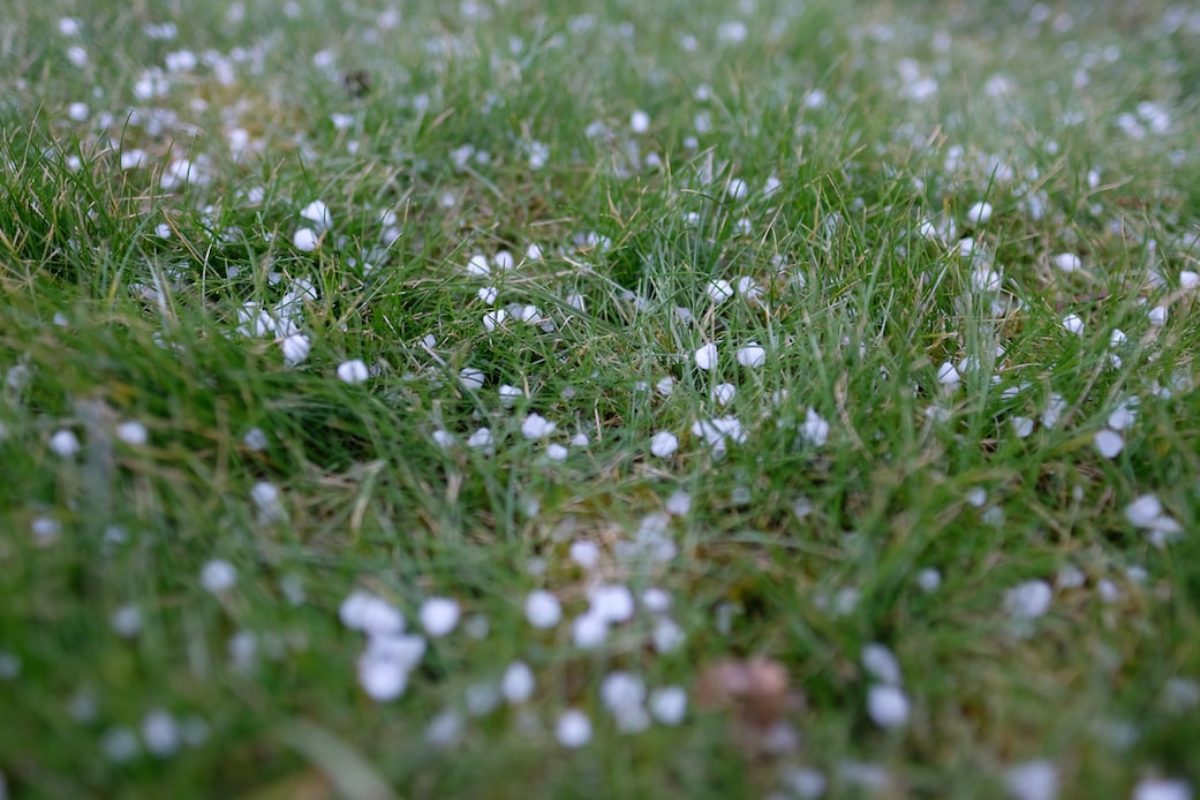 Graupel