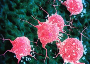 Nuova scoperta sui tumori