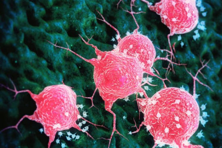 Nuova scoperta sui tumori