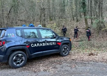 carabinieri bosco.webp