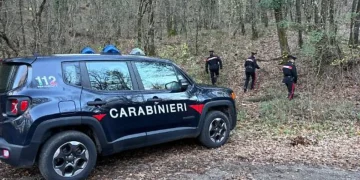 carabinieri bosco.webp