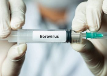 Cos'è il norovirus