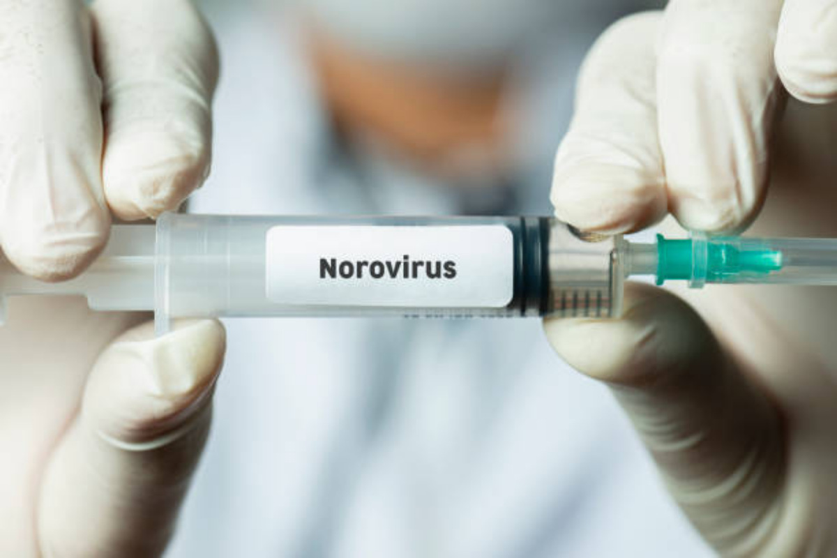 Norovirus: le caratteristiche dell’infezione che ha colpito una nave da crociera