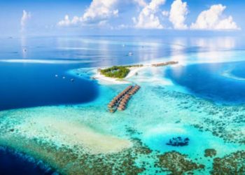 Maldive